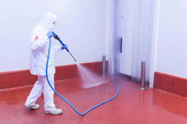 Best Sidewalk and Walkway Cleaning  in Honey Grove, TX